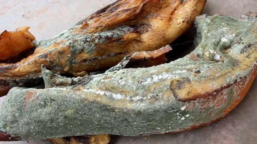 發(fā)霉生蟲(chóng)肉制品 發(fā)霉生蟲(chóng)肉制品